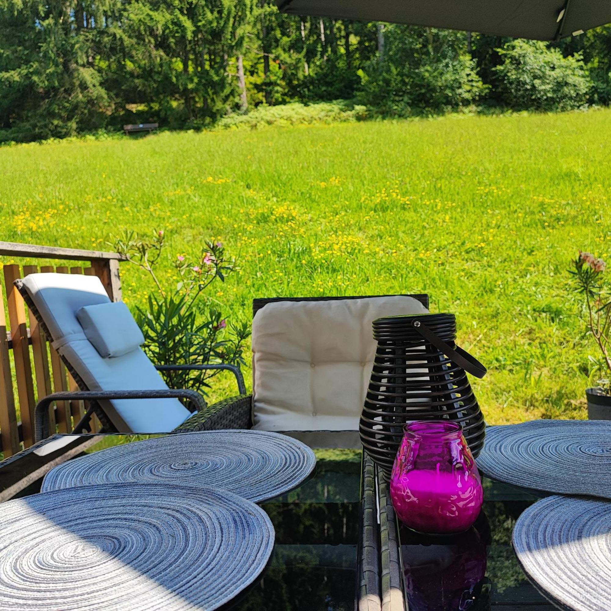Villa Bischofsberg - Laerchen-Wellness Apartment Windischgarsten Exteriör bild